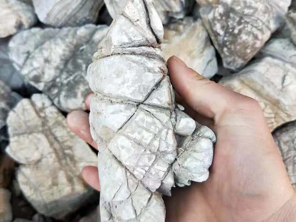 龟纹石